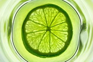 绿色柠檬片图片2