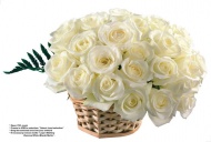白玫瑰插花图片
