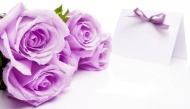 紫玫瑰图片