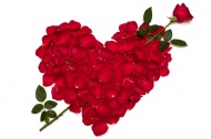 玫瑰花瓣形成的爱心图片