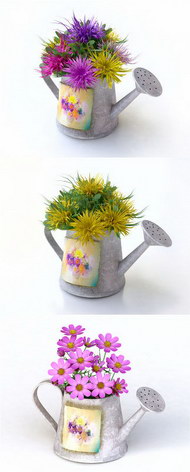 水壶和鲜花图片