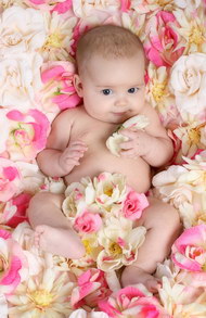 可爱花丛婴儿主题图片