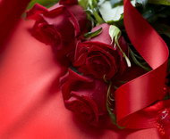 鲜红的玫瑰花系列10图片