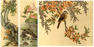 世界著名装饰画：花枝鸟?荷塘鹭鸟