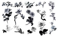 15张国画水墨花卉图片