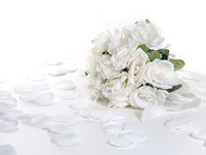白色玫瑰花瓣与花束图片