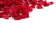 红色玫瑰花瓣珍珠图片