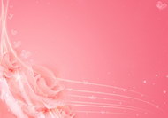 粉红色梦幻玫瑰花背景图片