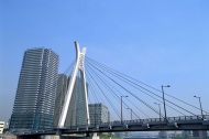 国外大桥图片