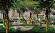 广场绿化设计效果图