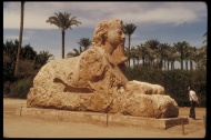 埃及法老石雕像古建筑