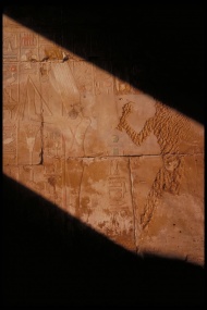 埃及古迹石刻古建筑