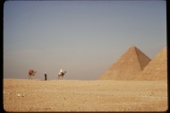 埃及金字塔古建筑