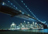 美国大桥夜景图片