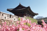 韩国特色建筑图片