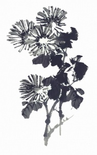 水墨植物图片