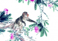 水墨猴子摘桃图片