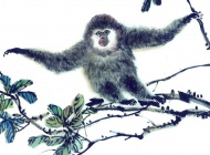 水墨生肖猴子图片