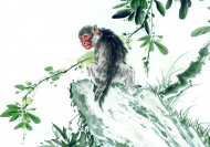 猴子水墨画图片