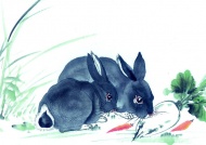 水墨画兔子图片