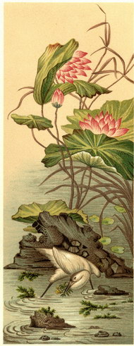 世界古典传统纹饰图片荷花仙鹤