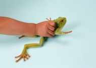 儿童手拿青蛙手势图片