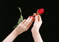 女性手拿玫瑰花图片