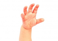 婴儿手部图片