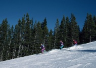 极限滑雪图片
