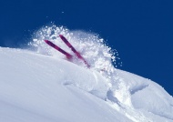 激情滑雪图片