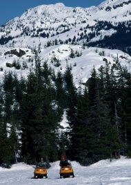 滑雪车图片