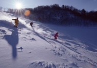 高山激情滑雪图片