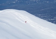 雪山激情滑雪图片