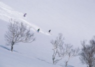 高山激情滑雪图片