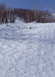 花样滑雪图片