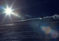 夕阳滑雪图片