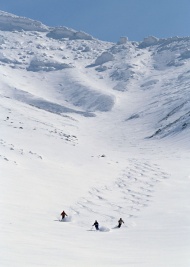 运动滑雪图片