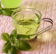 绿茶花茶图片