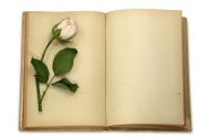 旧书本与玫瑰花图片