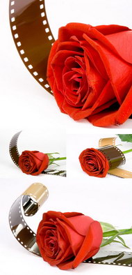 红玫瑰与电影胶片图片