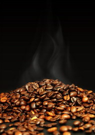 咖啡豆海报04图片
