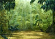 手绘森林阳光图片