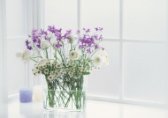 玻璃花瓶插花艺术图片