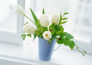 白色花朵插花艺术图片