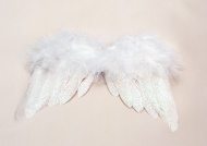 天使翅膀图片