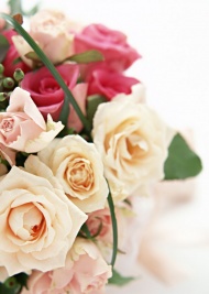 玫瑰鲜花婚礼图片