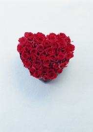 红色心形玫瑰图片