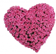 玫瑰花组成的红心图片