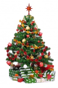 漂亮的圣诞树图片
