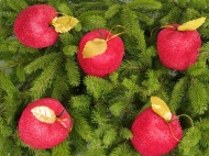 圣诞树上的苹果装饰图片